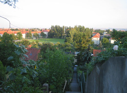 Blick von der Naturtribüne