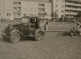 Rasenpflege